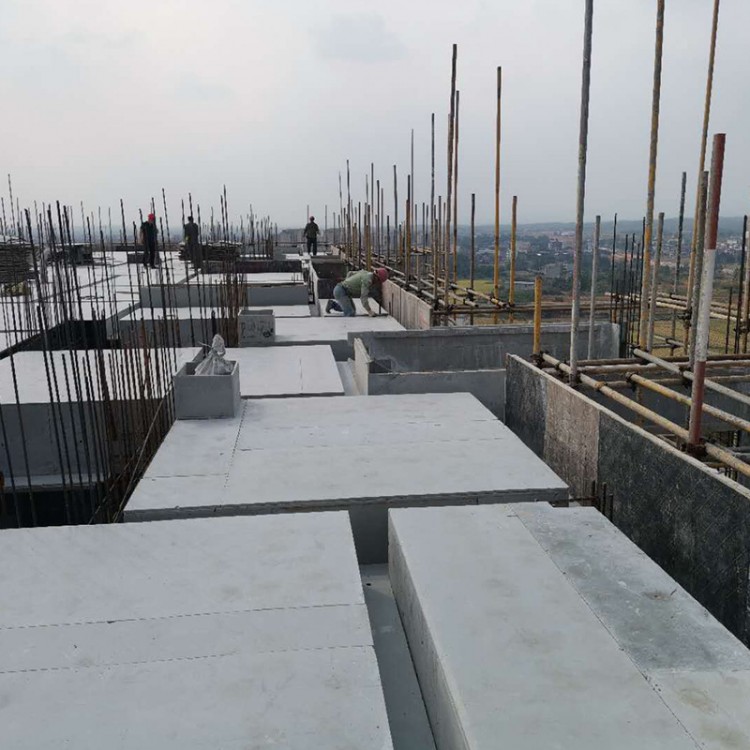 建筑塑料模板 工地桥梁混凝土建筑工程板材 厂家直供