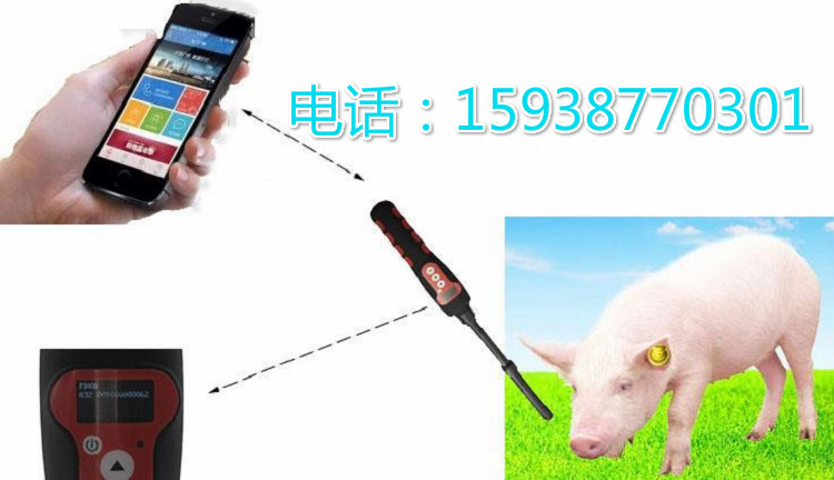 动物电子耳标识别棒
