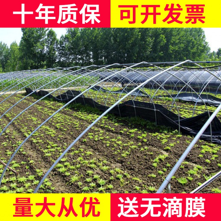 温室大棚骨架钢管定制蔬菜种植养殖养鸡简易农业连体连栋钢架配件