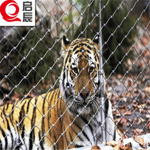 不锈钢绳网 动物园防护网 动物园建设围网