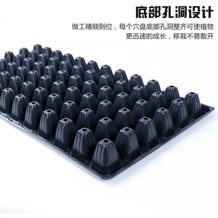 育苗杯 育苗盘 穴盘