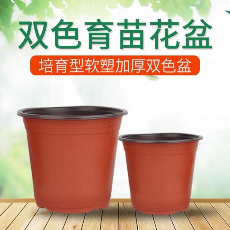 双色盆 塑料花盆