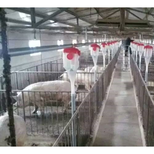 上海自动养猪设备制造企业-开元厂价定制猪场自动喂料设备设计