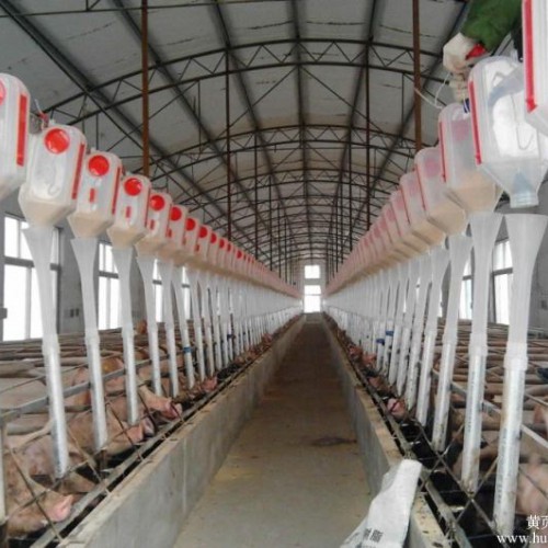 天津现代化养猪设备厂家-泊头开元畜牧厂价订购畜牧自动喂料系统