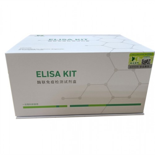 大鼠Ⅰ型胶原氨基端延长肽（P1NP）ELISA试剂盒