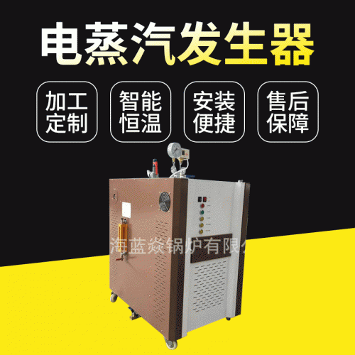 供应立式电蒸汽发生器 高压电蒸汽发生器 节能电蒸汽发生器