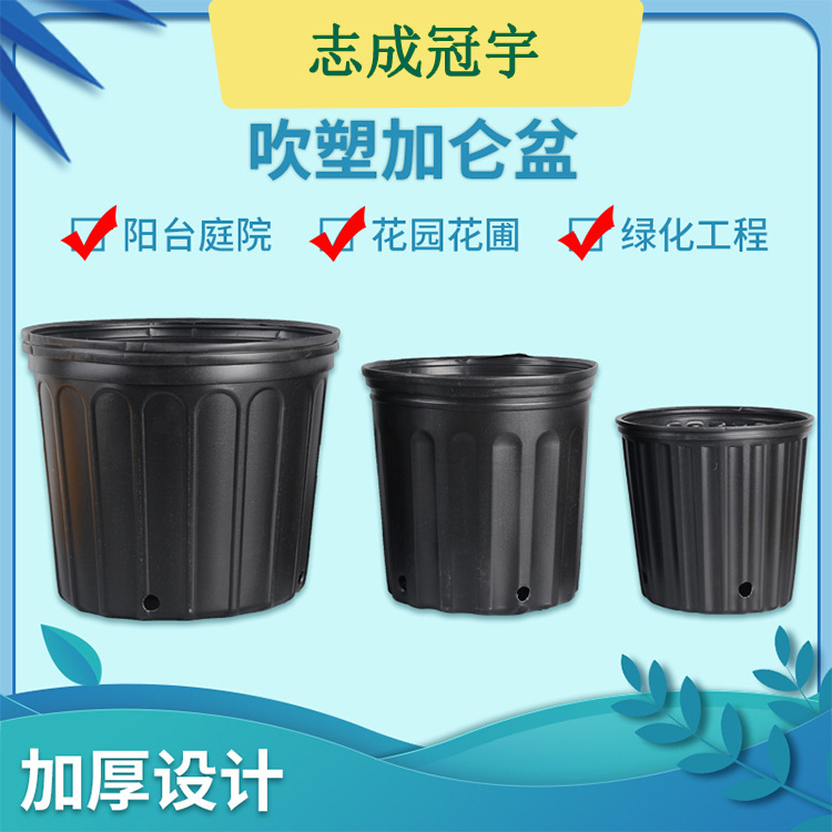 厂家供应黑色吹塑加仑盆