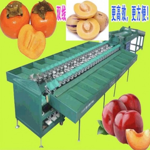 甘肃人参果双通道选果机 效率高 适用于多种果蔬分选