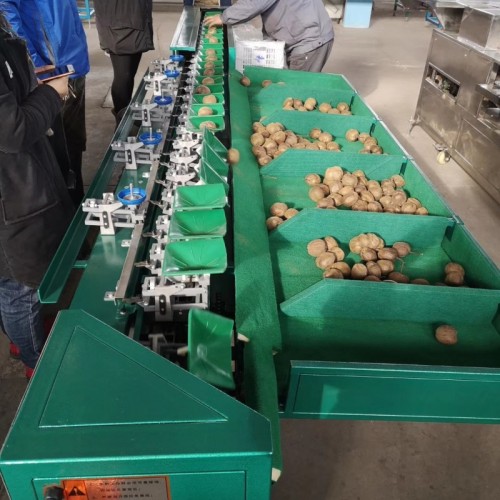 蒲江猕猴桃分选机   快速分选猕猴桃大小的机器  厂家供应