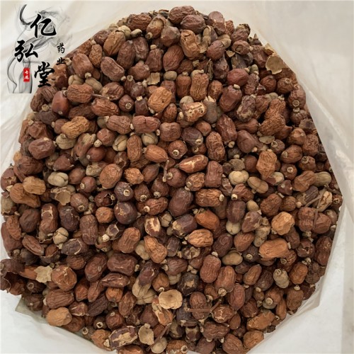 中药材红豆蔻 供应良姜子多少钱一斤 广东红豆批发价
