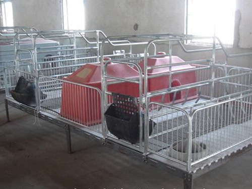 四川保育床加工厂家_万晟畜牧设备公司制造猪仔保育床