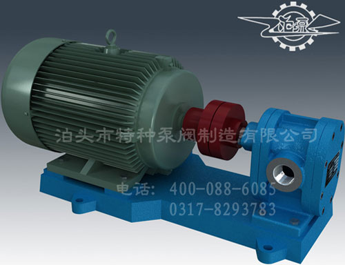 浙江油泵定制生产/泊特泵厂价零售2CY齿轮泵
