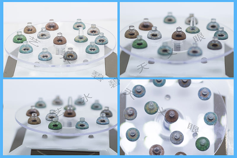 浙江高分子义眼|泊头市艺水碧天公司定做3D立体虹膜