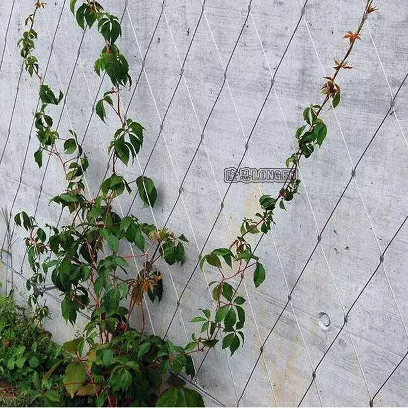 植物攀爬网 不锈钢绳网 装饰网 304绳网 建筑防护围网