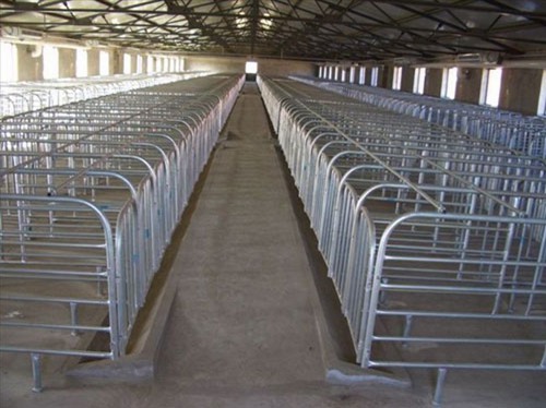 江苏猪用限位栏订制厂家-万晟畜牧设备公司制造母猪栏