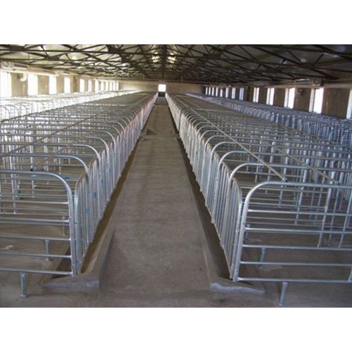 江苏猪用限位栏订制厂家-万晟畜牧设备公司制造母猪栏
