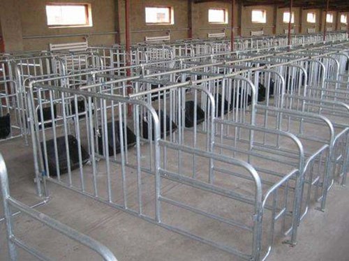 黑龙江复合板定位栏/沧州万晟畜牧设备公司订做母猪限位栏