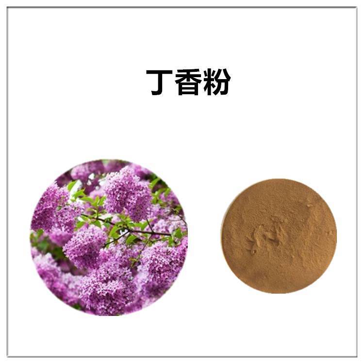 丁香粉 斯诺特生物 源头供应 植物浓缩萃取 全水溶