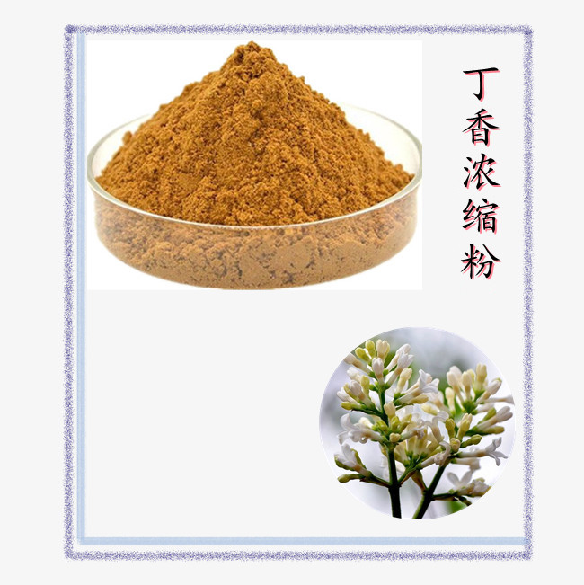 丁香浓缩粉 精选原料 浓缩萃取 规格多种 可定制 含税含运