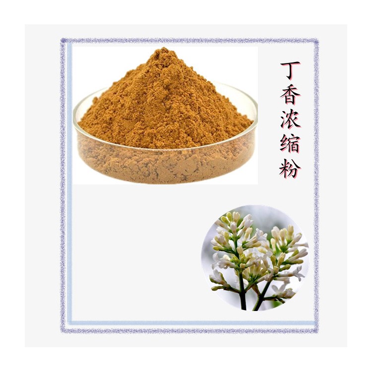 丁香浓缩粉 精选原料 浓缩萃取 规格多种 可定制 含税含运