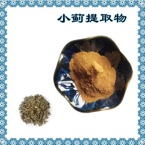 小蓟提取物 水溶性好 喷雾干燥工艺 粉末细腻 免费试样