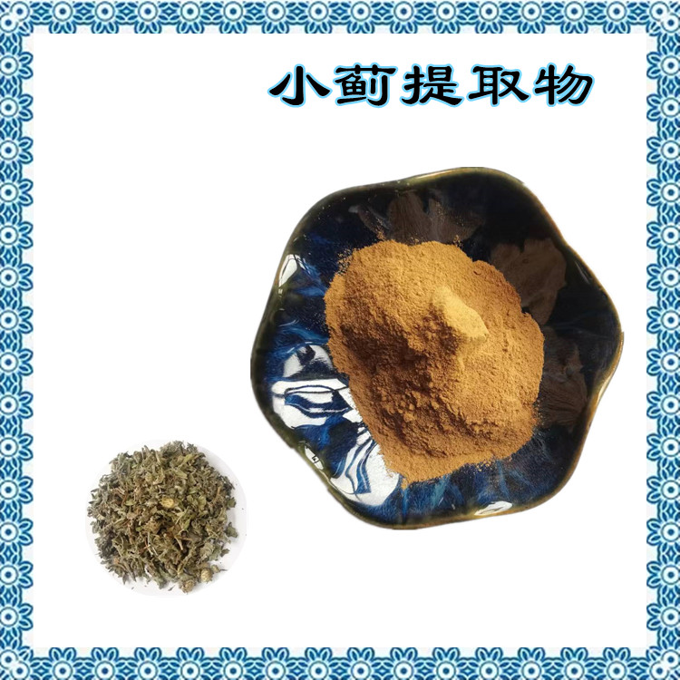 小蓟提取物 水溶性好 喷雾干燥工艺 粉末细腻 免费试样