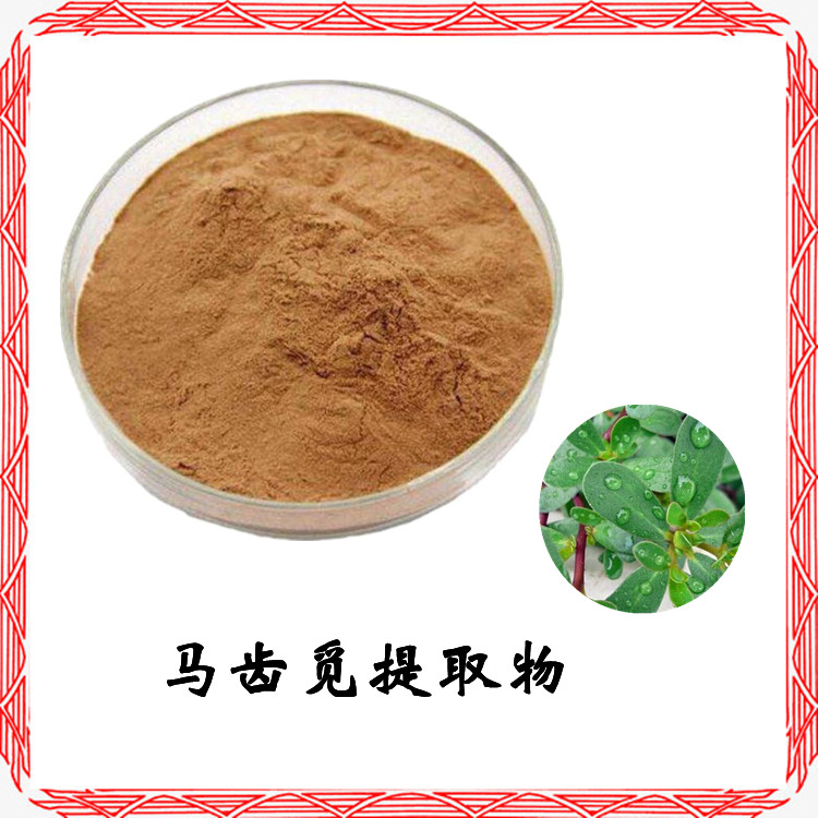 马齿觅提取物 精选原料 规格10:1 水提 可定制包邮