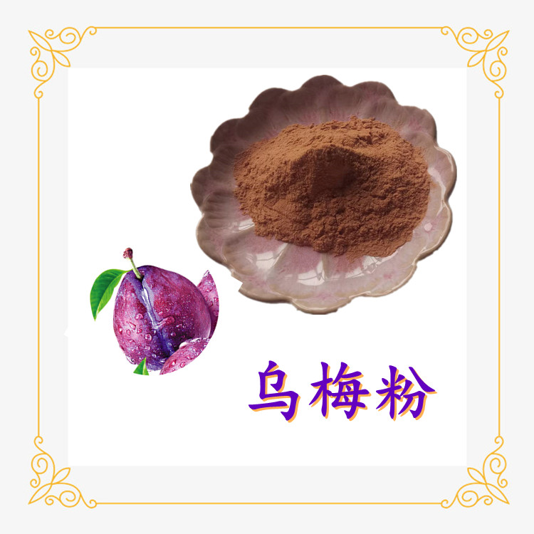乌梅粉  精细粉末 纸板桶包装 精选原料