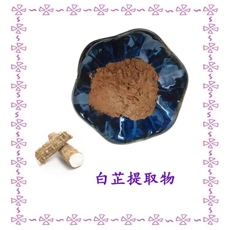 白芷提取物 斯诺特生物 源头厂家 植物萃取 多种规格