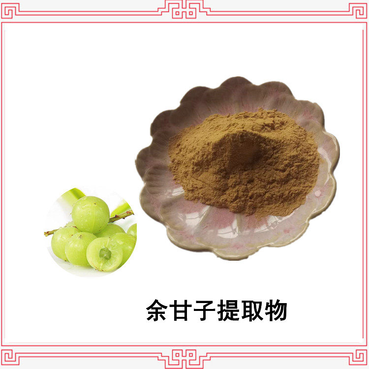 余甘子提取物 喷雾干燥工艺 植物萃取 粉末均匀 全水溶