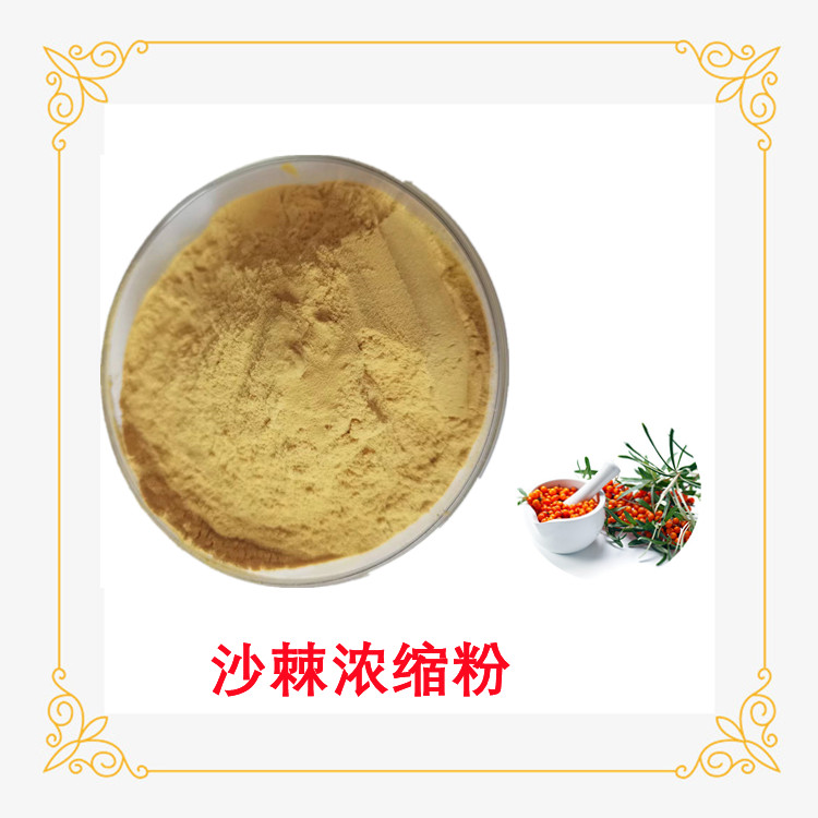 沙棘浓缩粉 精选原料 斯诺特生物 支持拿样 可定制