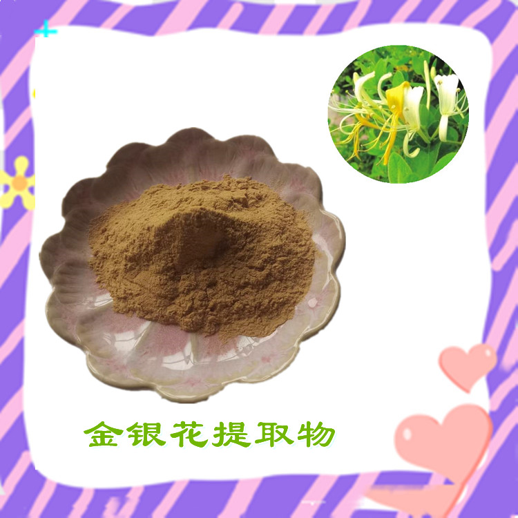金银花提取物 浓缩粉末 不添加任何防腐剂 粉末流动性好