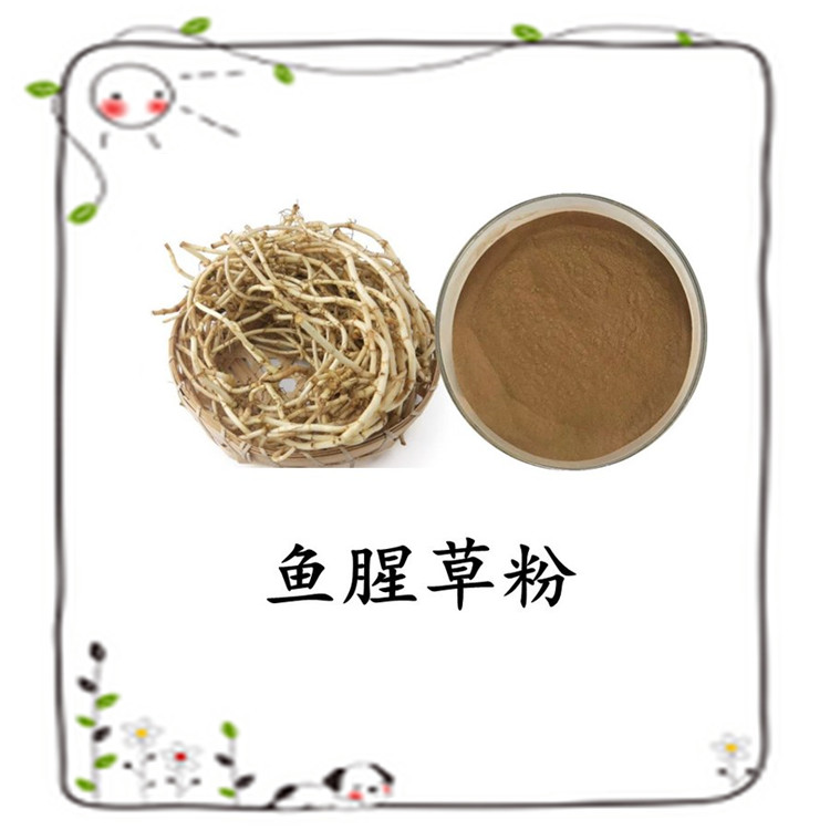 鱼腥草粉 植物萃取 粉末细腻 水溶性好 可定制