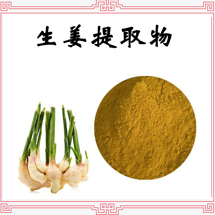 生姜提取物 源头供应 现货包邮 多种规格 可定制