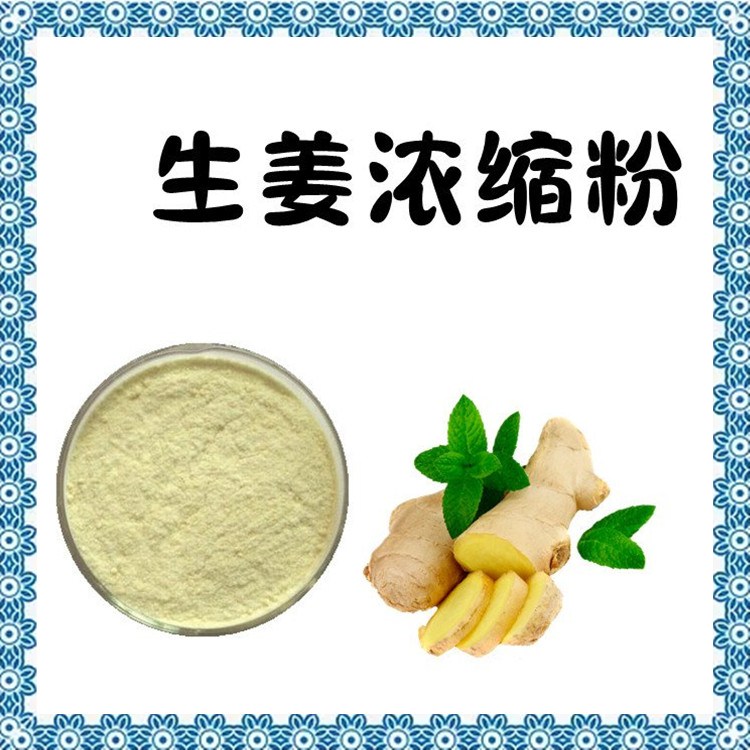 生姜浓缩粉 浓缩萃取 粉末均匀无沉淀  品质优良