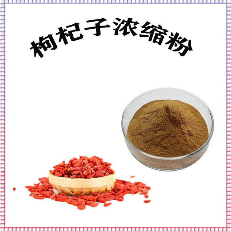 枸杞浓缩粉 喷雾干燥工艺 粉末流动性好 长期供应 免费拿样