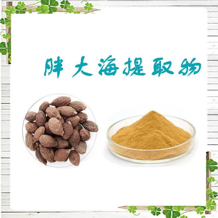 胖大海提取物 精选原料 不添加任何防腐剂 库存充足