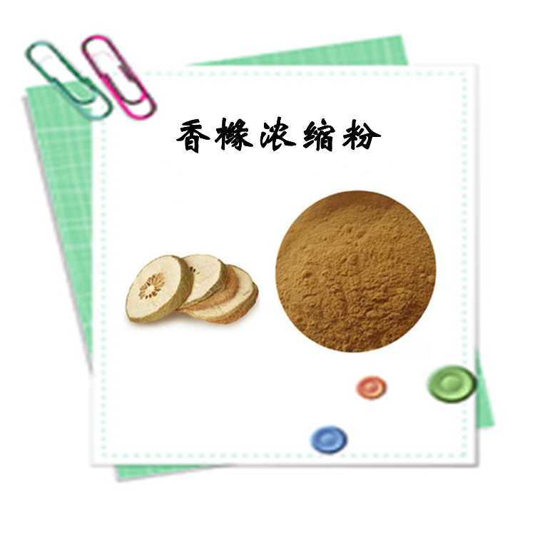 香橼浓缩粉 喷雾干燥工艺 粉末细腻 全水溶无结块 可定制