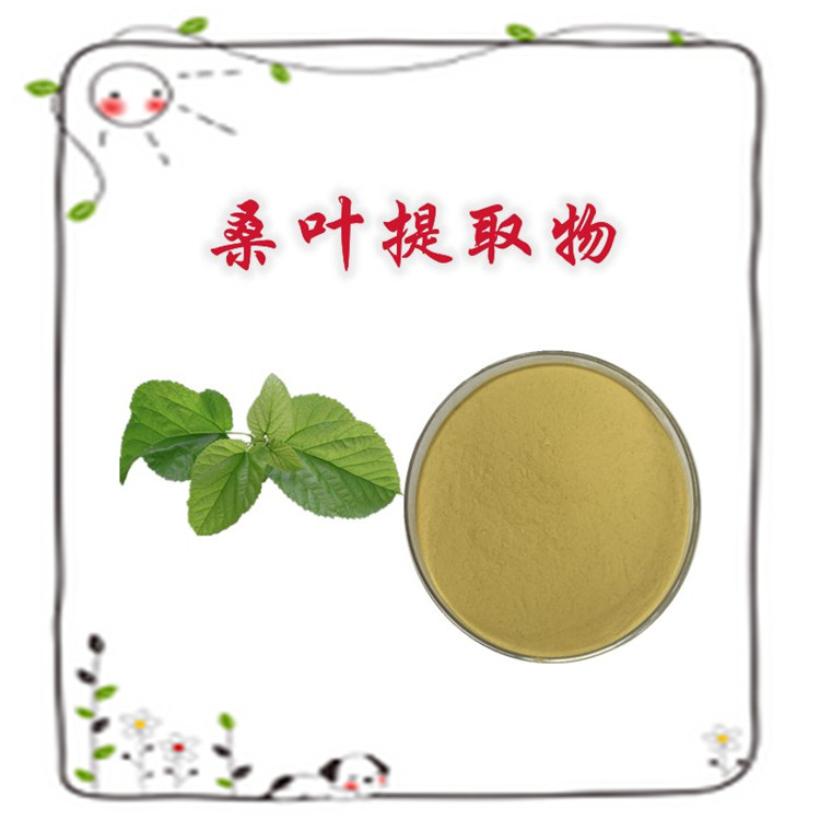 桑叶提取物 斯诺特生物 植物萃取 多种规格 可定制