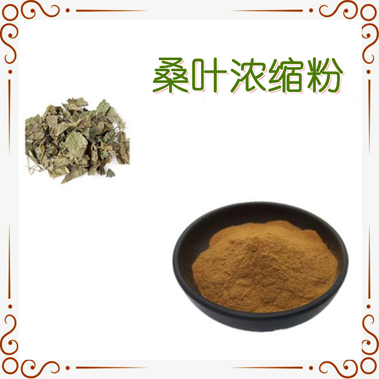 桑叶浓缩粉 浓缩萃取 规格多种 品质优良 斯诺特生物