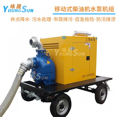 小型6寸柴油水泵 便携式6寸柴油水泵 移动式电启动柴油水泵