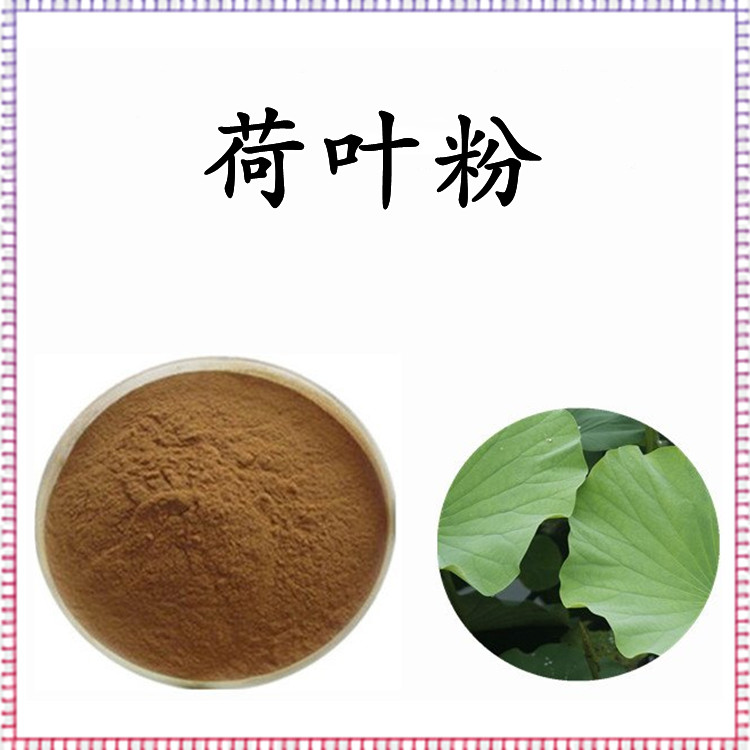 荷叶粉 精选原料 多规格提取 品质优良 库存充足