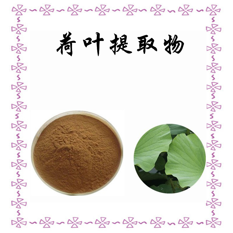 荷叶提取物 斯诺特生产 浓缩粉末 规格齐全 长期供应