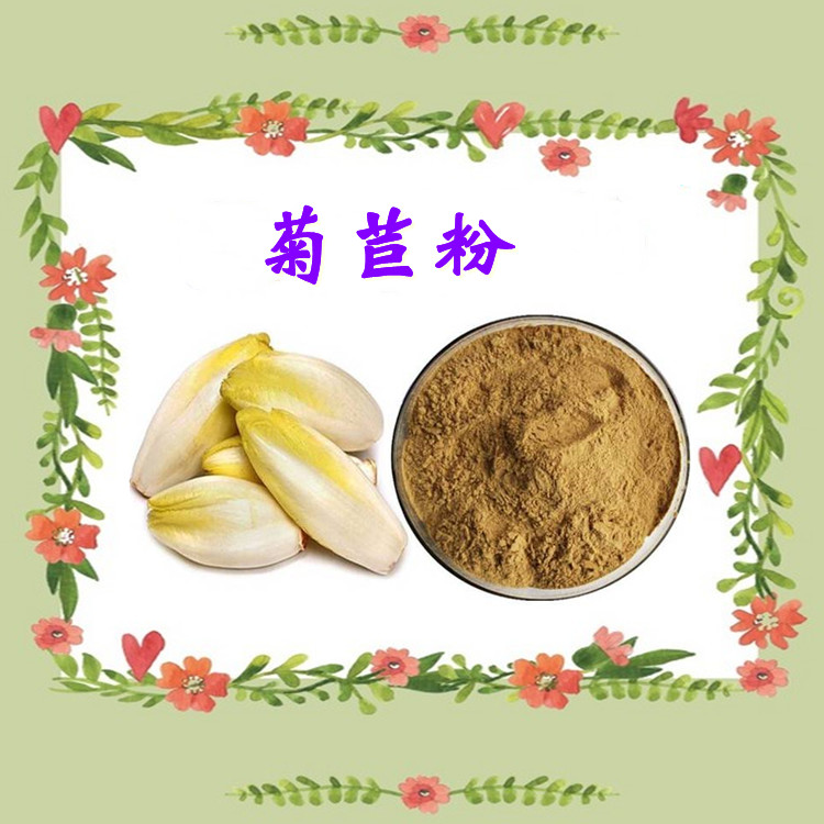 菊苣粉 浓缩粉末 斯诺特生物 可定制 免费拿样