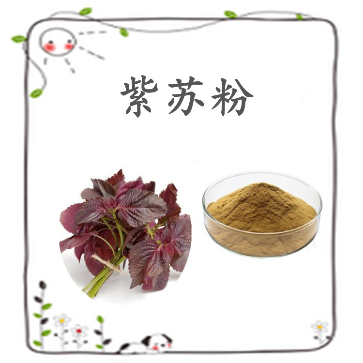 紫苏粉 源头供应 粉末均匀 品质优良 库存充足