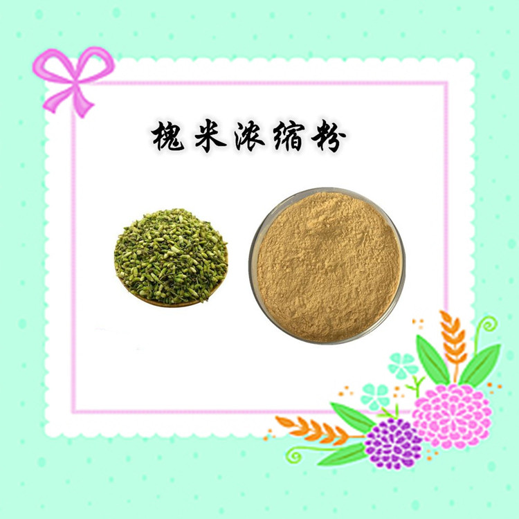 槐米浓缩粉 精选原料 粉末细腻 过100目 易储存
