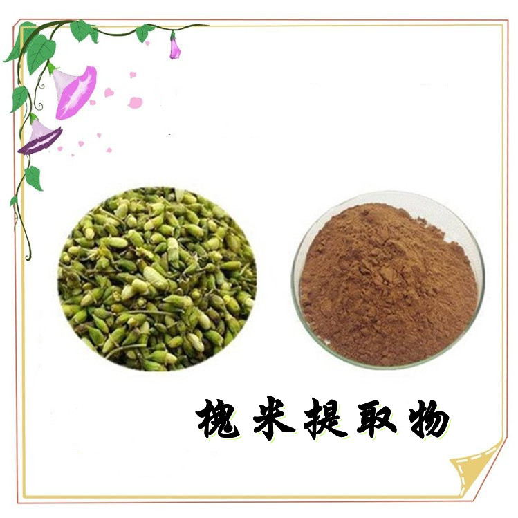 蒲公英提取物 水溶性好 随货带报告 品质优良 可定制