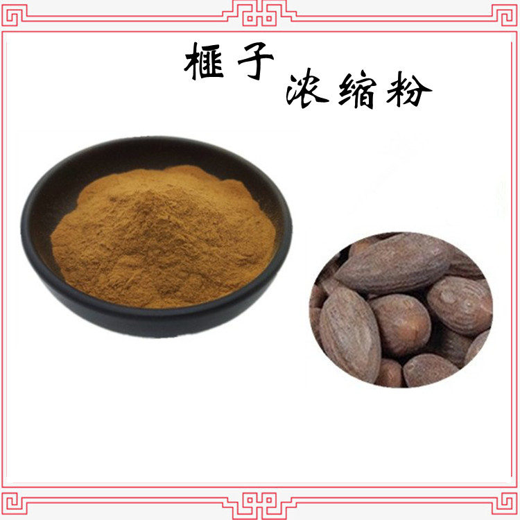 榧子浓缩粉 喷雾干燥工艺 植物萃取 粉末流动性好  包邮