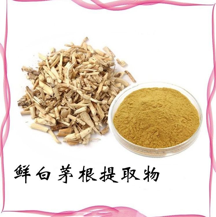 鲜白茅根提取物 粉末疏松 细腻无结块 规格多种 库存充足
