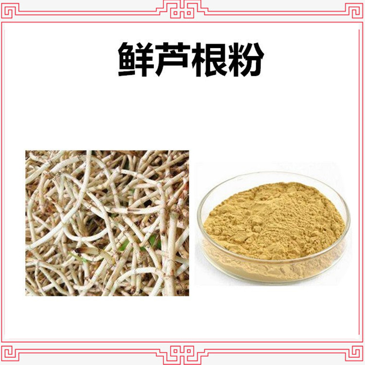 鲜芦根粉 鲜芦根浓缩粉 比例浓缩萃取 全水溶无结块